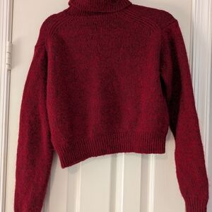 Uniqlo Red Turtleneck Sweater